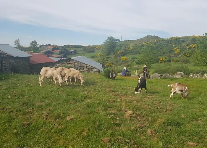 Cantinho Da Du Летний дом Ламегу